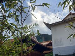 -深圳仙湖植物园