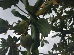 -三块石国家森林公园