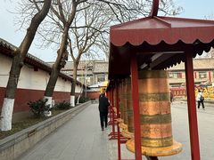 -护国法轮寺