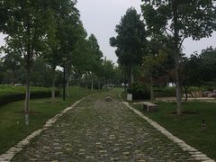 -海草馆自助餐厅(悦海店)