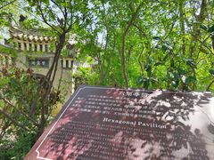 -习家池