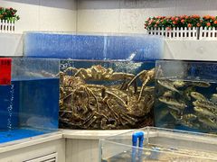 -北塘海鲜·天津菜(大光明桥旗舰店)