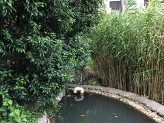 -活水公园