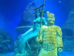 -太奥幻太奇海洋馆