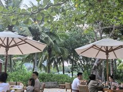 -三亚艾迪逊酒店·海滩烧烤 BARBACOA·现场乐队·浪漫晚餐·烧烤海鲜