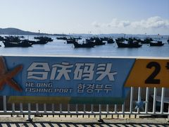 -海源公园