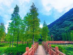 -广州市石门国家森林公园