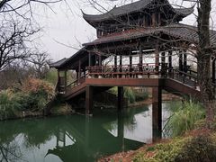 -西溪国家湿地公园