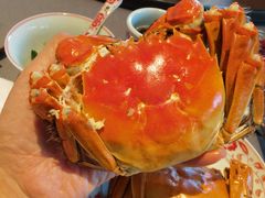 -金海华·华宴江南(斜塘店)