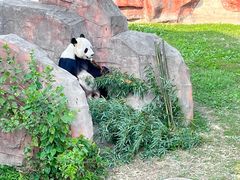 -盐城大丰港动物园