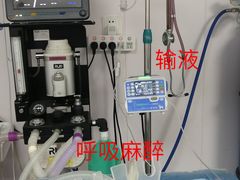 -咕噜咕噜宠物医院·CT·肿瘤科·骨科(前海院)