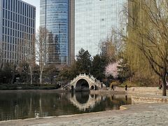 -团结湖公园