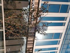 -星巴克(青浦宝龙店)