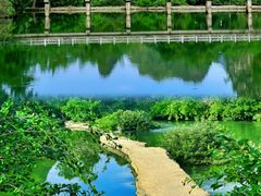 -明仕田园