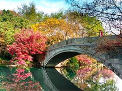 -西湖外事游船(花港观鱼码头)