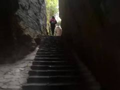 -蝶舞清江·恩施云顶景区(黄鹤峰林)