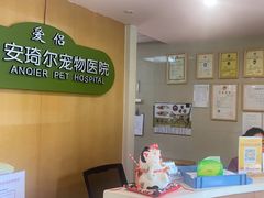 -爱侣·安琦尔宠物医院·中兽医针灸·心内科·狂犬免疫点(宝山区院)