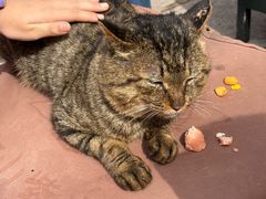 -终南山南五台景区