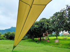 -桃源山庄·水蜜桃采摘·柴火鸡·烧烤团建(龙泉山店)