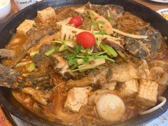 -老板恋上鱼(恒隆广场店)