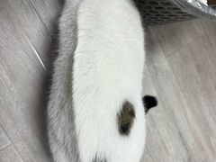 -尊宝比萨(较场口店)