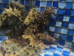 -睿柏云酒店-餐厅