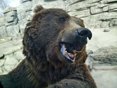 -北京野生动物园