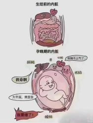 点击看大图 -昕孕瑜伽·孕妇瑜伽·产后修复