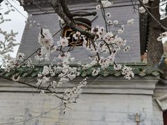 -圣莲山风景区
