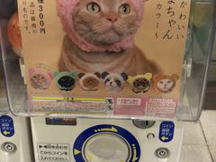 -秋叶原电器街