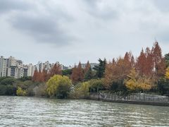 -苏州河梦清园环保主题公园