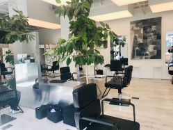 -Hair  Gallery