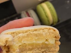 -罗森尼娜(德思勤店)