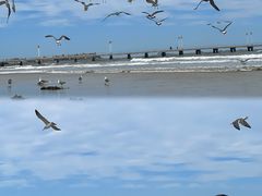 -ChanDu躔度咖啡(灯塔店)