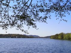 -西湖外事游船(花港观鱼码头)