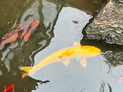 -聚缘堂·海鲜私房菜(松岭路店)