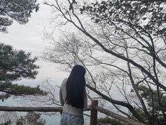 -秦岭天竺山景区