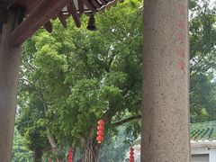 -悦城龙母祖庙