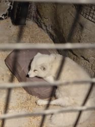 -酷嗒动物文化乐园(cutezoo西溪乐天城店)