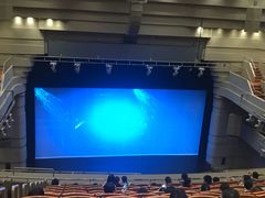 -北京喜剧院