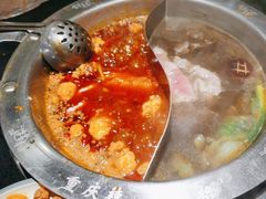 -井格重庆火锅(西直门凯德Mall店)