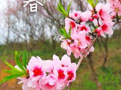 -南京市江宁方山