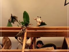 -长颈鹿咖啡(大学路店)