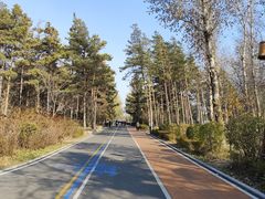 -长春市南湖公园