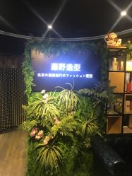 点击看大图 -藤野造型