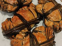 -晶丽香榭自助餐(南京大饭店)