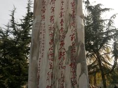 -金城公园