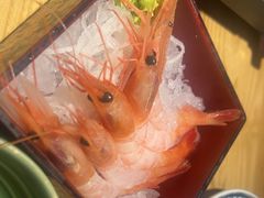 -有喜屋·日料·居酒屋(旭辉广场店)
