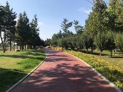 -羊亭河湿地公园