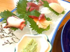 -天正河鲀·河豚亭(大连店)